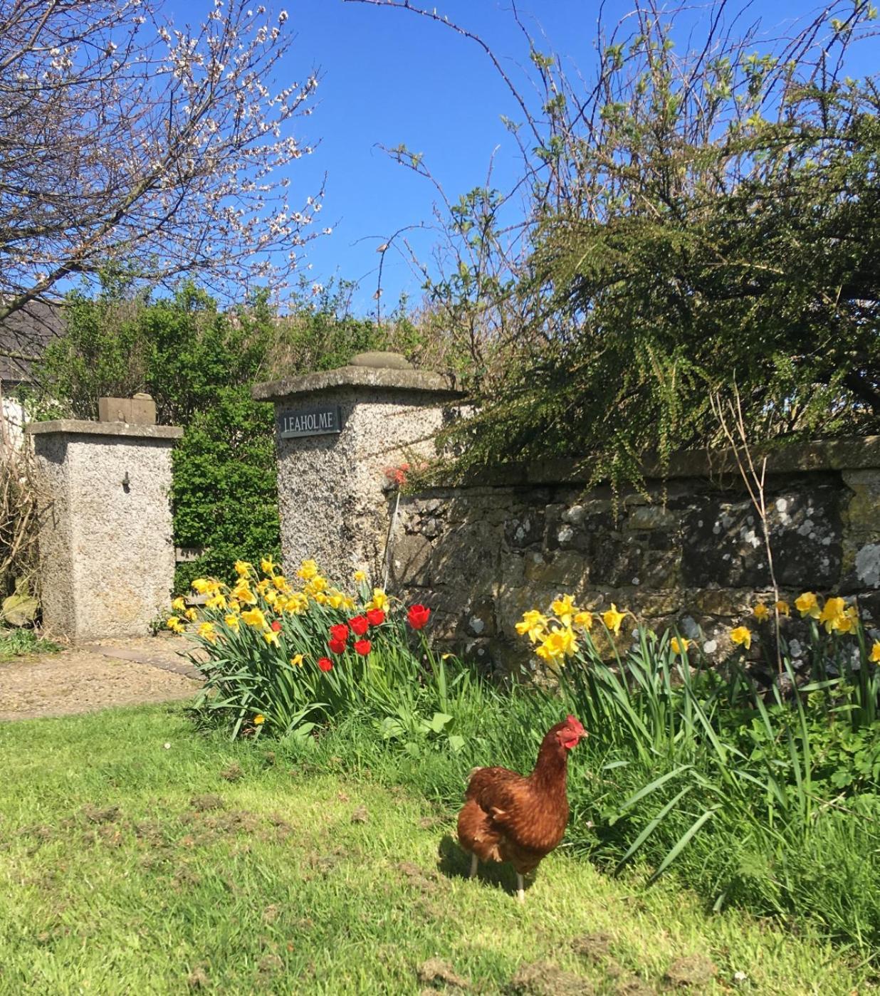 Leaholme Cottage - Fabulous Coastal Cottage For 8 Newton by the Sea Exteriör bild